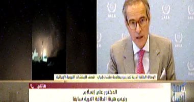 رئيس هيئة الطاقة الذرية السابق يصف مفاعل بوشهر بأنه الأخطر في إيران ويحذر من عواقب قصفه