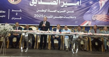 رئيس الهيئة البرلمانية لحزب حماة الوطن بمجلس الشيوخ يؤكد أن الانتخابات تمثل التزامًا دستوريًا وطنيًا