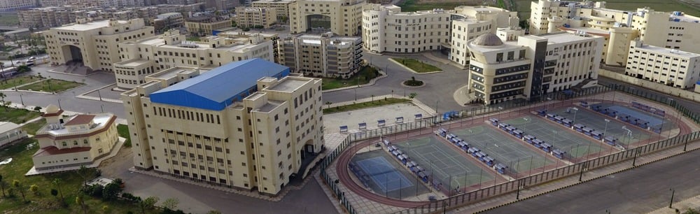 كليات جامعة كفر الشيخ كليات جامعة كفر الشيخ