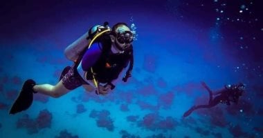 اكتشف جمال الغوص في الغردقة: شعاب مرجانية مذهلة وغابة بحرية ساحرة على عمق 22 مترًا