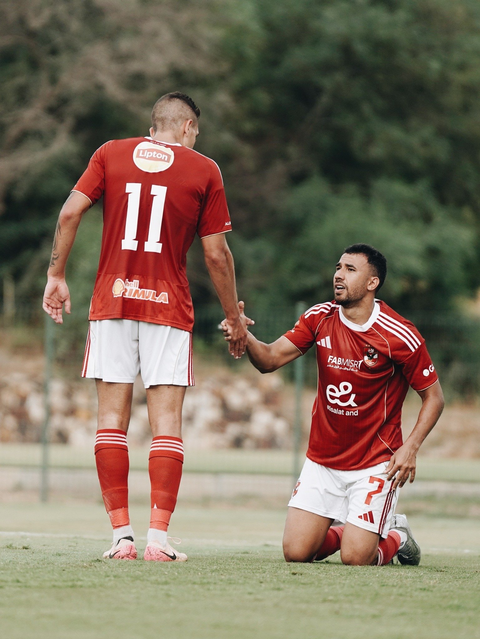 تريزيجيه وجراديشار