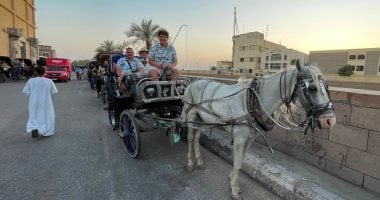 رحلة الحنطور السياحية في الأقصر: تجربة فريدة بين المعابد والشوارع والمنازل القديمة