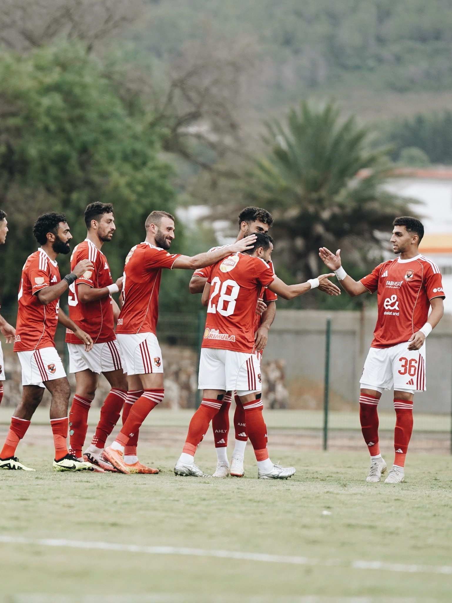 فريق الأهلي