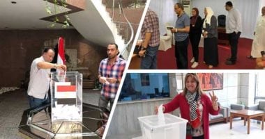 انتخابات مجلس الشيوخ: آليات وضوابط تنظيم تصويت المصريين في الخارج