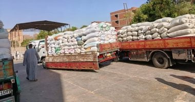 توريد 318 ألف طن قمح لصوامع وشون محافظة البحيرة ضمن مشروع سنابل الذهب