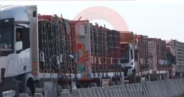دخول 117 شاحنة مساعدات إنسانية لغزة عبر معبرى زكيم وكرم أبو سالم
