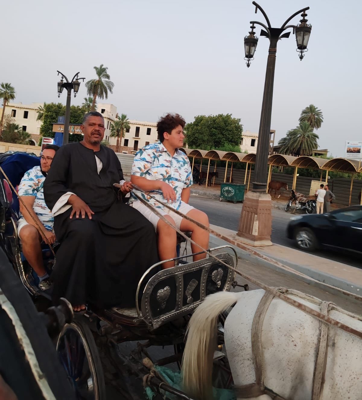 استمتاع الأجانب فى قلب رحلات الحنطور بالأقصر استمتاع الأجانب فى قلب رحلات الحنطور بالأقصر