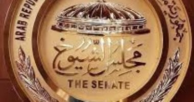 كيفية التصويت في انتخابات مجلس الشيوخ المصري من خارج البلاد