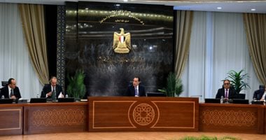 مركز المعلومات ودعم اتخاذ القرار يسلط الضوء على الفرص الاستثمارية في صناعة البطاريات بمصر