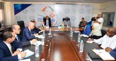 مشاورات سياسية بين وزيري خارجية مصر والنيجر خلال اجتماع في نيامي