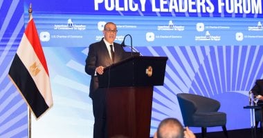 مصر تثمن البيان الصادر عن 25 دولة بشأن الوضع في الأراضي الفلسطينية المحتلة