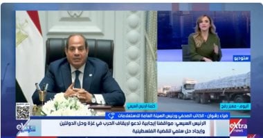 مصر وموقفها الثابت تجاه القضية الفلسطينية: التزام بثلاثة أهداف منذ بدء العدوان