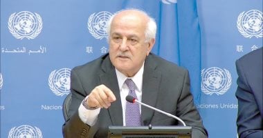 مندوب فلسطين بالأمم المتحدة يثمن جهود مصر لتحقيق وقف إطلاق النار في غزة