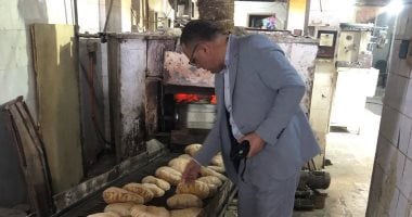 نتائج حملة تموينية بالدقهلية: ضبط 7 أطنان دقيق وزيت وسكر وتحقيق 182 مخالفة