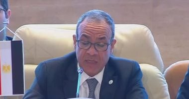 وزير الخارجية يؤكد عزم مصر على تنظيم مؤتمر لإعادة إعمار غزة