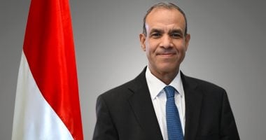 وزير الخارجية يعلن عن دعم مصر الشامل لمشروعات التنمية في تشاد