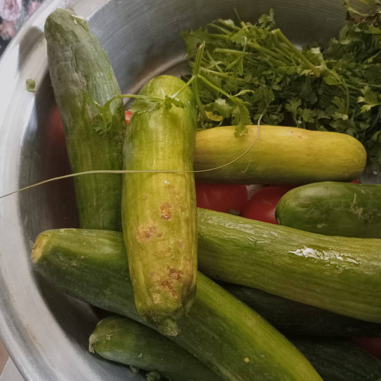 خضروات غير صالحة خضروات غير صالحة