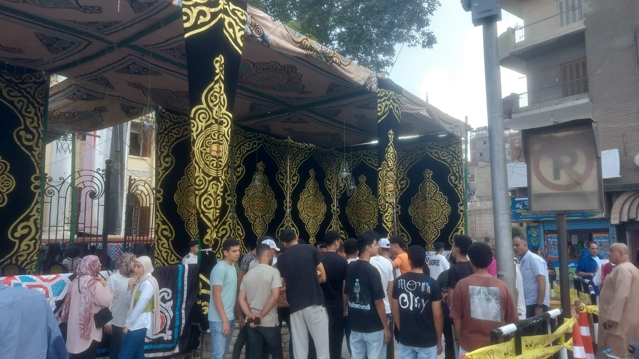 إقبال كبير للشباب فى كفر الزيات للإدلاء بأصواتهم في انتخابات الشيوخ (3)