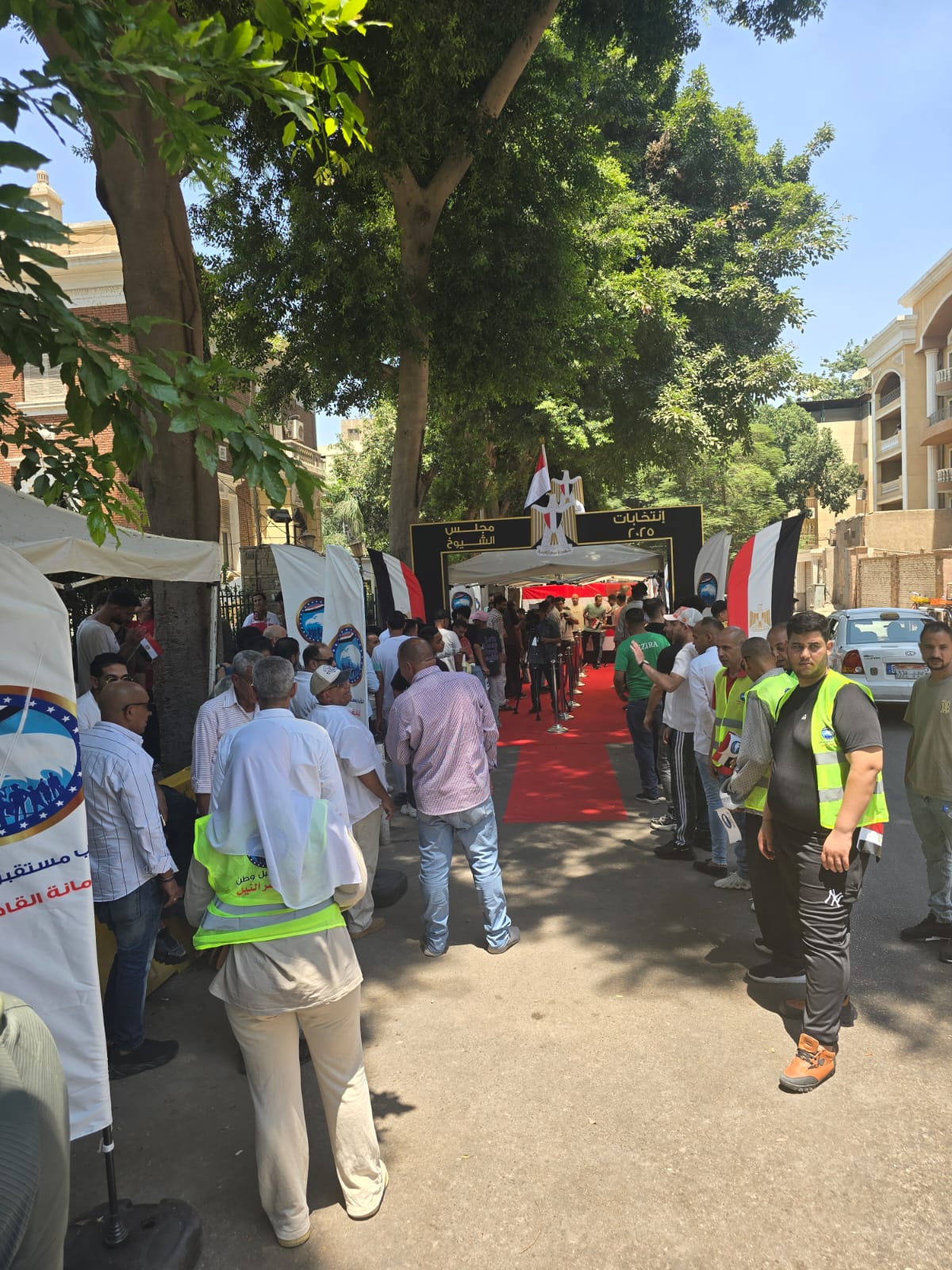 مشاهد من انتخابات مجلس الشيوخ في منطقة الزمالك
