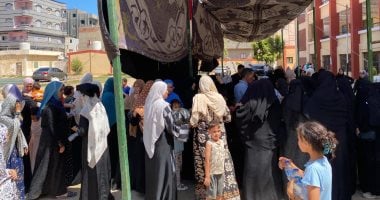 كفر الشيخ تشهد إقبالاً متزايداً على لجان انتخابات مجلس الشيوخ (صور)
