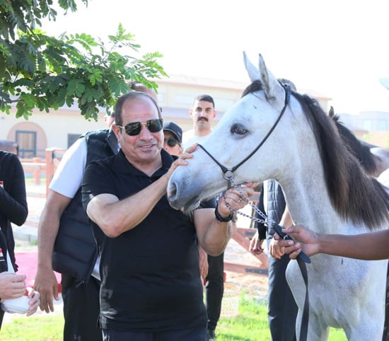 الرئيس السيسي يتفقد الآكاديمية العسكرية