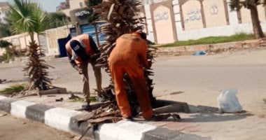 تحسين كفاءة المسطحات الخضراء في الإسماعيلية استعدادًا لمهرجان المانجو