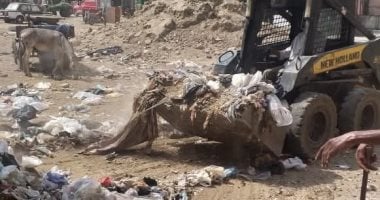 إزالة 30 طنا من المخلفات الصلبة والقمامة في حي غرب سوهاج