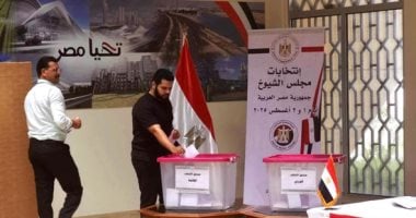 إغلاق لجان التصويت للمصريين بالخارج في انتخابات مجلس الشيوخ 2025 يشمل 26 دولة