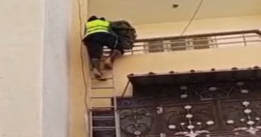 الأمن ينقذ قطة محتجزة في بلكونة بمدينة السويس بنجاح