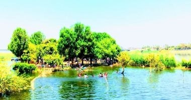 الجزر الطبيعية في قلب النيل بالقاهرة تجذب الزوار مجانًا بالصور