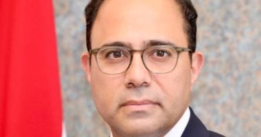 السفير أحمد أبو زيد يؤكد أن المشاركة في الانتخابات تعبر عن ثقة المواطنين في الدولة وتعزز المسار الديمقراطي