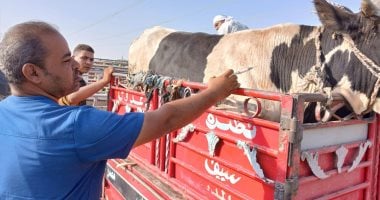 الطب البيطري في الأقصر يطلق فعاليات الحملة القومية لمكافحة مرض الحمى القلاعية SAT1