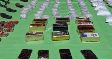 القبض على 8 عناصر إجرامية في محافظتي المنوفية والقليوبية