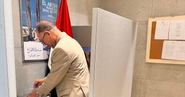 المصريون في كوريا الجنوبية يشاركون في انتخابات مجلس الشيوخ لعام 2025