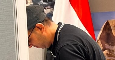 المصريون في كوريا الجنوبية يواصلون المشاركة في انتخابات مجلس الشيوخ