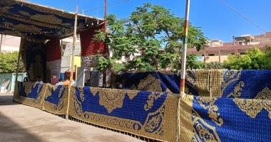 انتظام عملية التصويت في 135 لجنة انتخابية خلال جولة الإعادة لمجلس الشيوخ بمحافظة الإسماعيلية