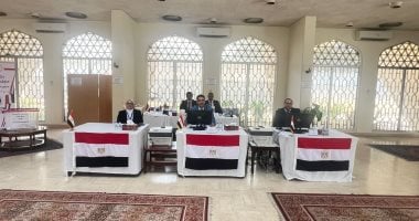 بدء التصويت في انتخابات مجلس الشيوخ عبر سفارات مصر في السعودية والكويت والأردن