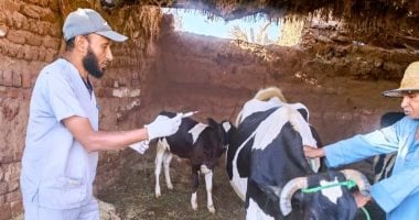 بدء حملات التحصين ضد السلالة الجديدة من الحمى القلاعية SAT1 في محافظة الوادي الجديد
