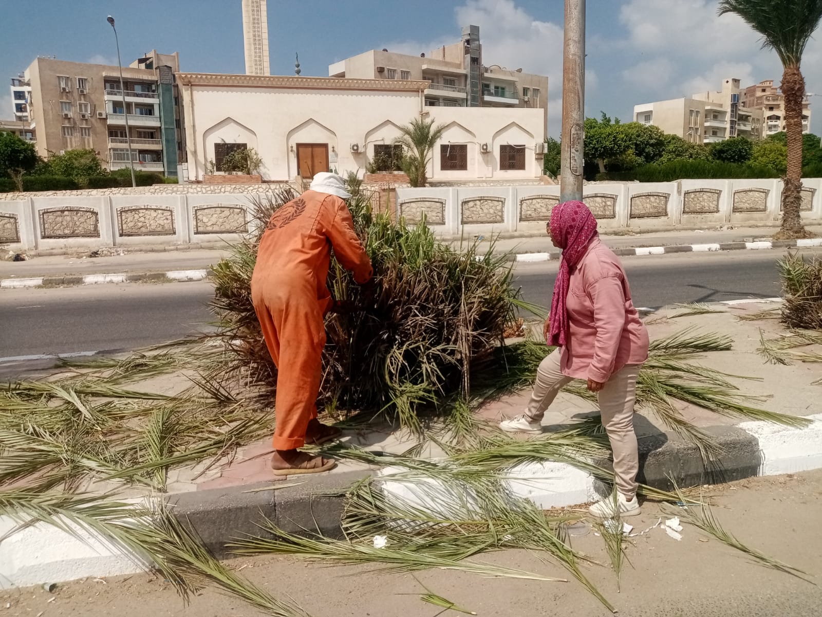 رفع كفاءة المسطحات الخضراء بالإسماعيلية رفع كفاءة المسطحات الخضراء بالإسماعيلية