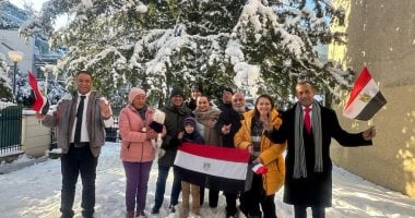 تظاهرة المصريين في النمسا لدعم الرئيس السيسي