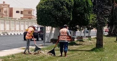 تكثيف أعمال صيانة المسطحات الخضراء في الإسماعيلية استعدادًا لانتخابات مجلس الشيوخ