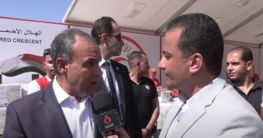 جهود مصر المستمرة لوقف العدوان على غزة بتوجيهات الرئيس السيسي تصريحات وزير الخارجية