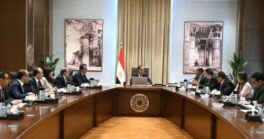 رئيس الوزراء يتابع تطور صناعة الدواء في السوق المصرية وخطط دعمها