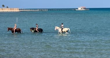 ركوب الخيل على شواطئ الغردقة: تجربة ساحرة تجذب العشاق والسياح