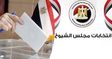 سفارة مصر في لبنان تتيح التصويت لجولة الإعادة في انتخابات مجلس الشيوخ