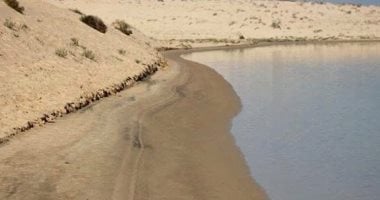 شرايين مائية تبعث الحياة في الصحراء: شمال سيناء أرض الفرص الواعدة بين الزراعة وموارد الطبيعة