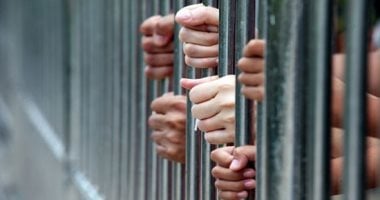 ضبط المتهمين في جريمة قتل وإلقاء الجثة بمركز المحمودية بمحافظة البحيرة