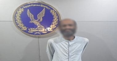 كشف تفاصيل فيديو الاعتداء على قطة بعصا خشبية في الإسكندرية
