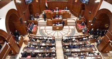 كيفية اختيار رئيس الجمهورية لأعضاء مجلس الشيوخ وفقاً للقانون