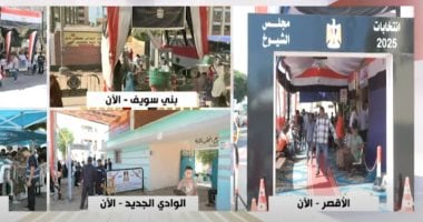 مؤتمر الهيئة الوطنية لإطلاع الرأي العام على انتخابات الشيوخ للمصريين في الداخل ينطلق رسميًا